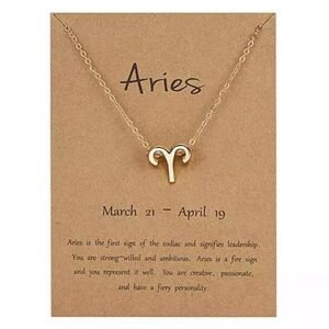 3/$30 ♈️ Aries Zodiac Sign Necklace